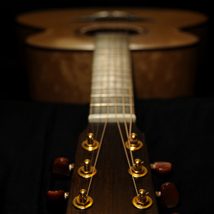 青春草视频在线
