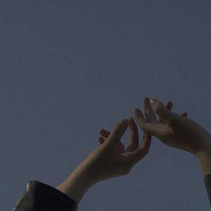 青春草视频在线
