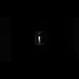 青春草视频在线
